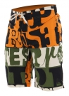 FISH Boardshort 2013 greenery