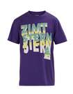 TSM_WIND UP T-Shirt 2011 aubergine