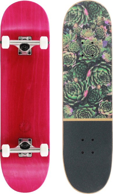 BTFL PLANTS Skateboard 2022 kaufen
